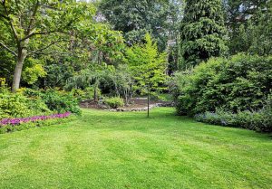 Optimiser l'expérience du jardin à Soumont